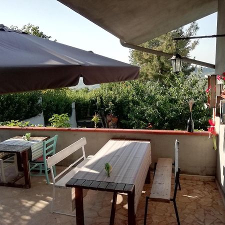 B&B L'Albero Di Antonia Atri Exterior photo