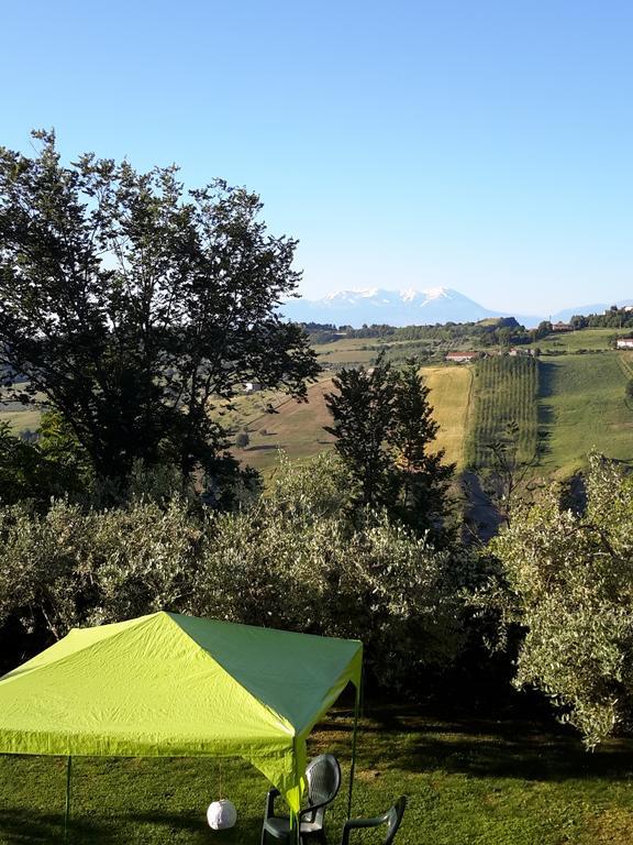 B&B L'Albero Di Antonia Atri Exterior photo