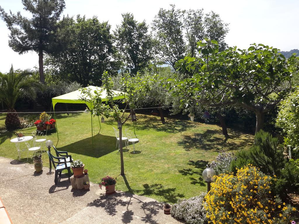 B&B L'Albero Di Antonia Atri Exterior photo