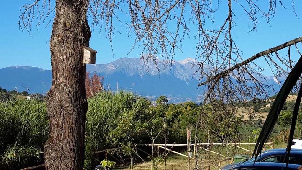 B&B L'Albero Di Antonia Atri Exterior photo