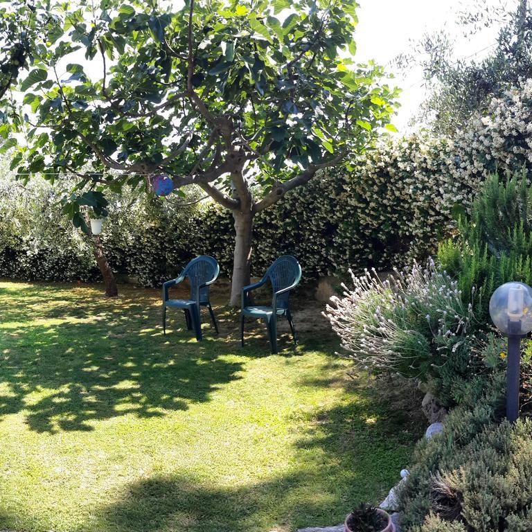 B&B L'Albero Di Antonia Atri Exterior photo