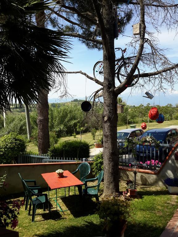 B&B L'Albero Di Antonia Atri Exterior photo