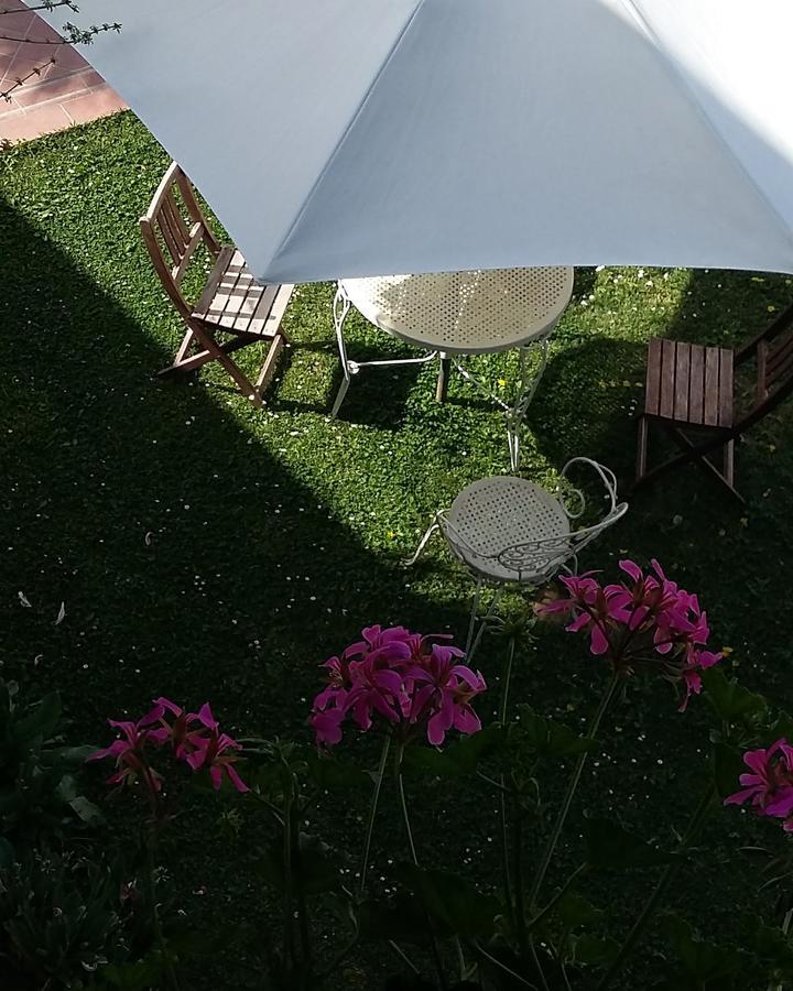 B&B L'Albero Di Antonia Atri Exterior photo
